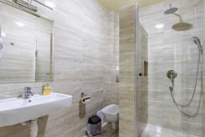 Отель Premium hotel & SPA. Стандарт двухместный мансардный 3