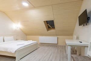 Отель Premium hotel & SPA. Стандарт двухместный мансардный 1