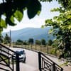 RUBUS 17-18/66