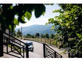 RUBUS 17