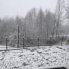 RUBUS 5-6/66