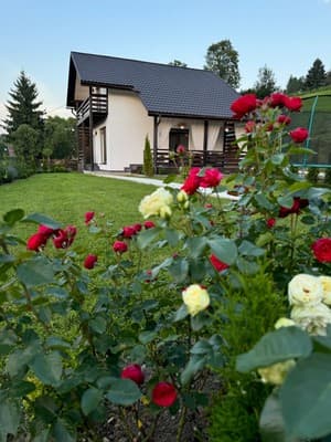 Рассвет 22