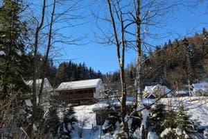 Райский уголок 17