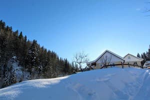 Райский уголок 11