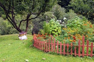 Райский уголок 26