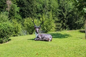 Райский уголок 28