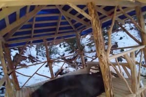 Коттедж Riviera