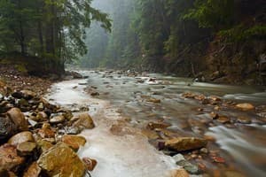 Романтика 3