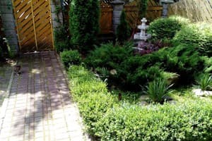 Романтика 9