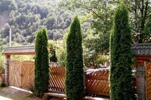 Романтика 10