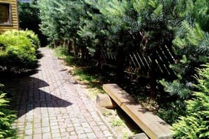 Романтика 11