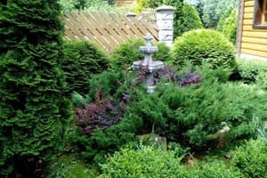 Романтика 12