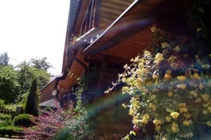 Романтика 20