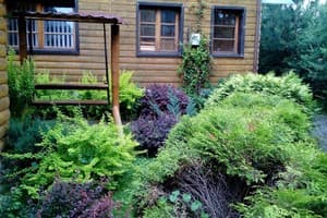 Романтика 26