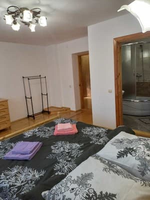Роня 2