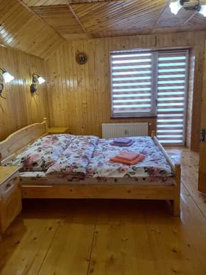 Роня 5