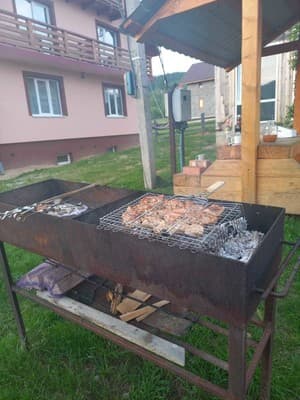 Роня 3