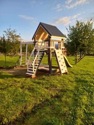 Роня 1