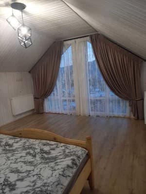 Роня 7