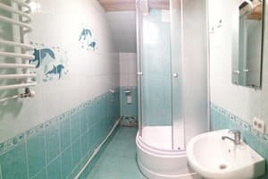 Росы Карпат 12