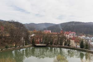 Отель Ruta Resort Polyana. Люкс трехместный  10