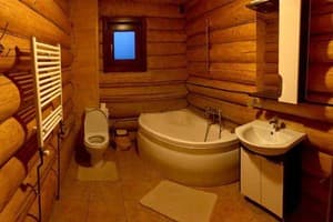 Отель Рутения. Люкс трехместный  5