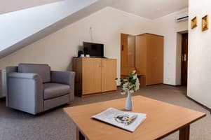 Санаторий Санта Мария. Люкс двухместный двухкомнатный (мансардного типа) 4