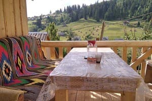 Счастье & Пихтовый чан 8