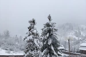 Шале Фильварок 27