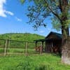 Шале RAkash у реки 6-7/7