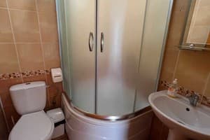 Шелковая косица 9