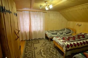 Шелковая косица 10