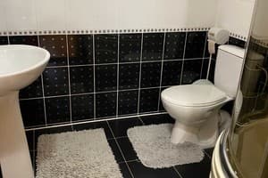 Шелковая косица 15