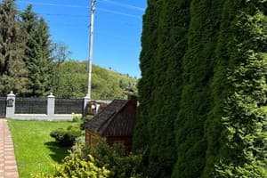 Шелковая косица 18