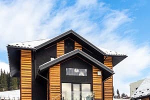 Отель Шишка