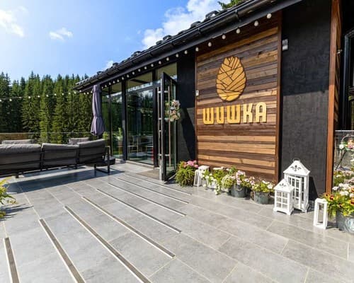Шишка 22