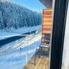 Отель Шишка. Стандарт 4-местный Премиум 14