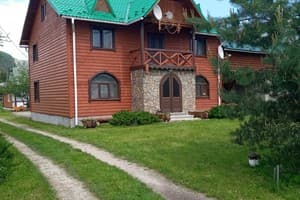 Шовкова косиця 2