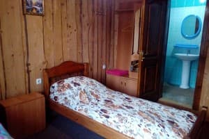 Шовкова косиця 4