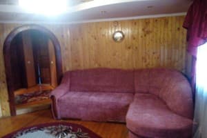 Шовкова косиця 10