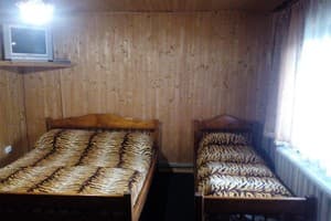 Шовкова косиця 6