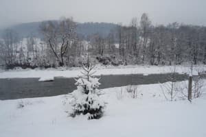 Шум Черемоша 4