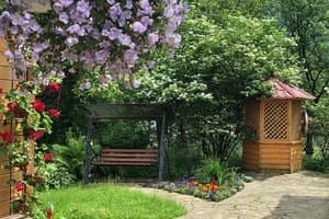 Shutka home spirit 1