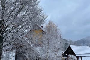 Швагры 6
