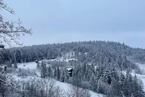Швагры 12