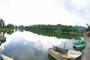 Силоамская купальня 12