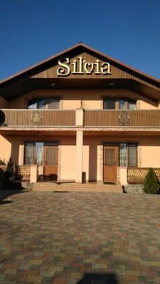 Silvia 13