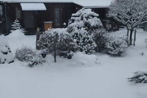 Сімейна хатинка 8