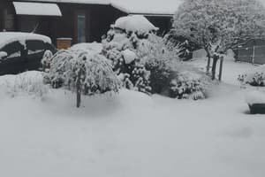 Сімейна хатинка 11