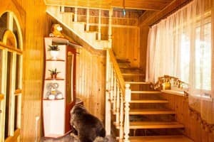 Гостиный двор Синевирский Чардаш. Коттедж 17-местный  5